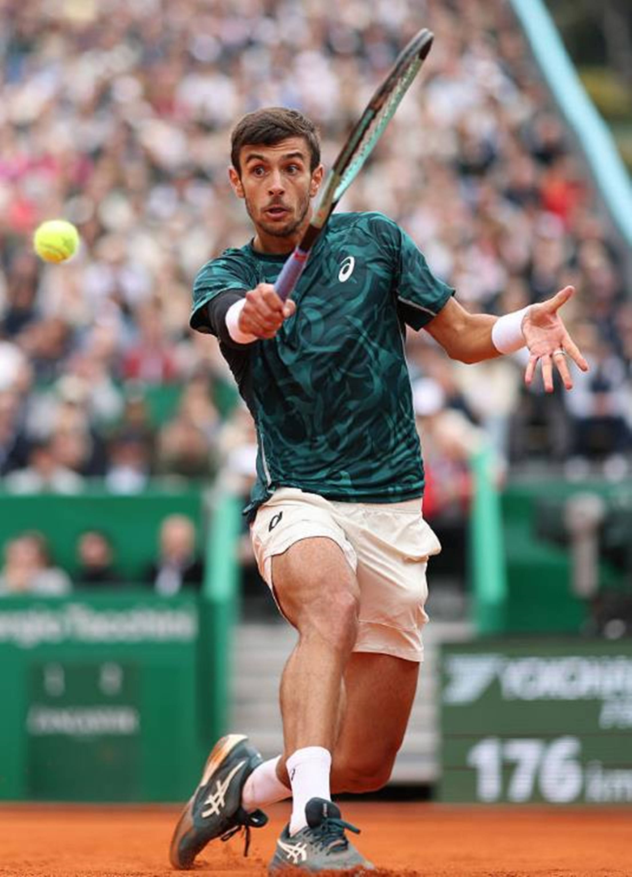 运动会的圆 运动会的圆