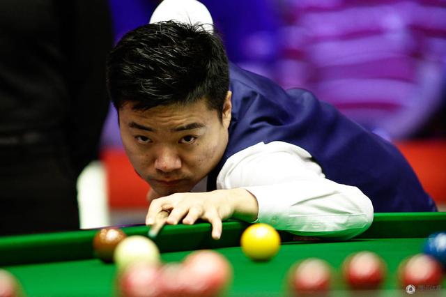 观赏动物的 观赏动物的